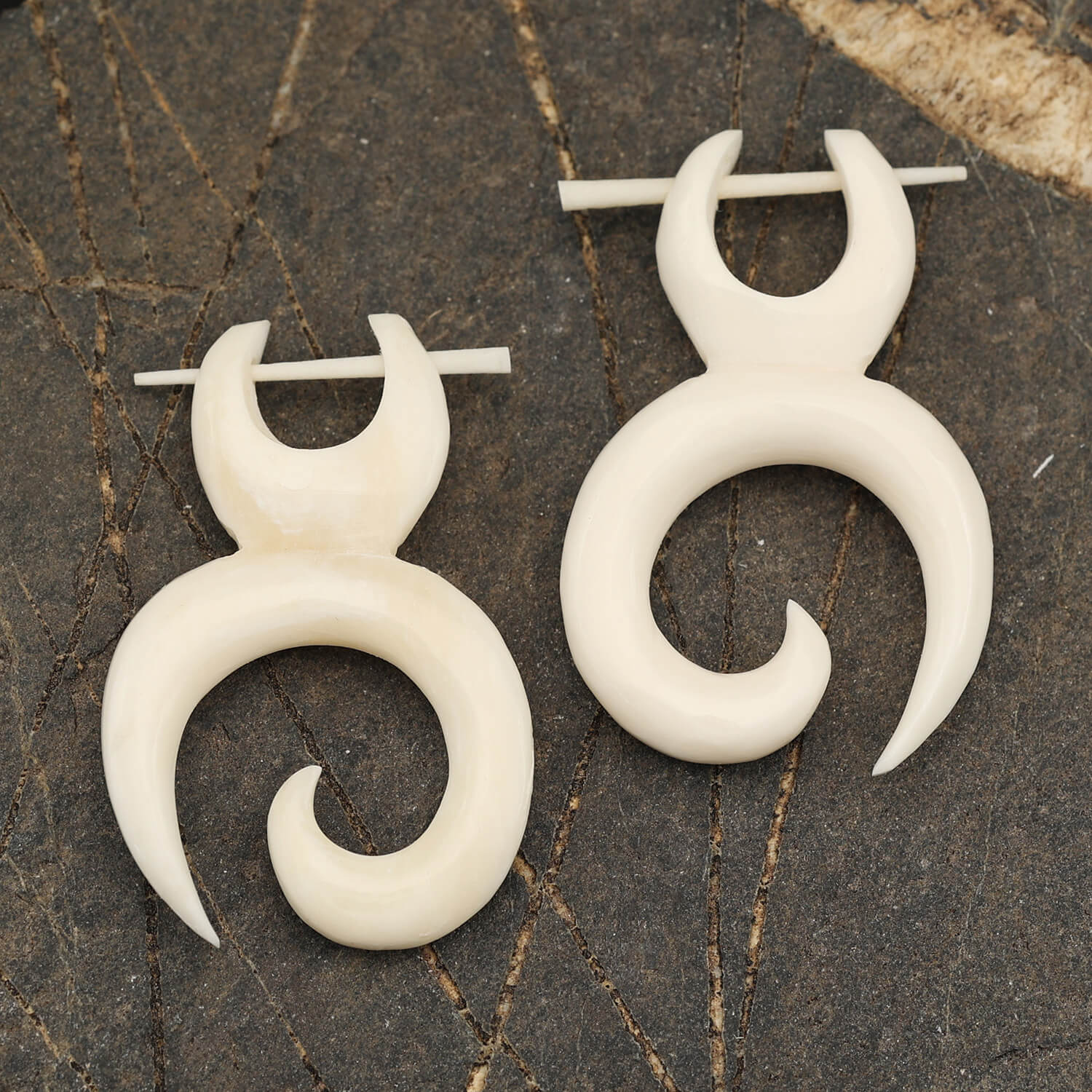 Spiral bone earrings