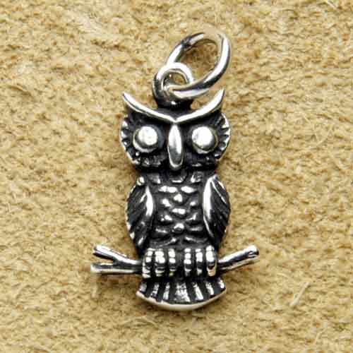 Eule Silber Anhänger schmuck