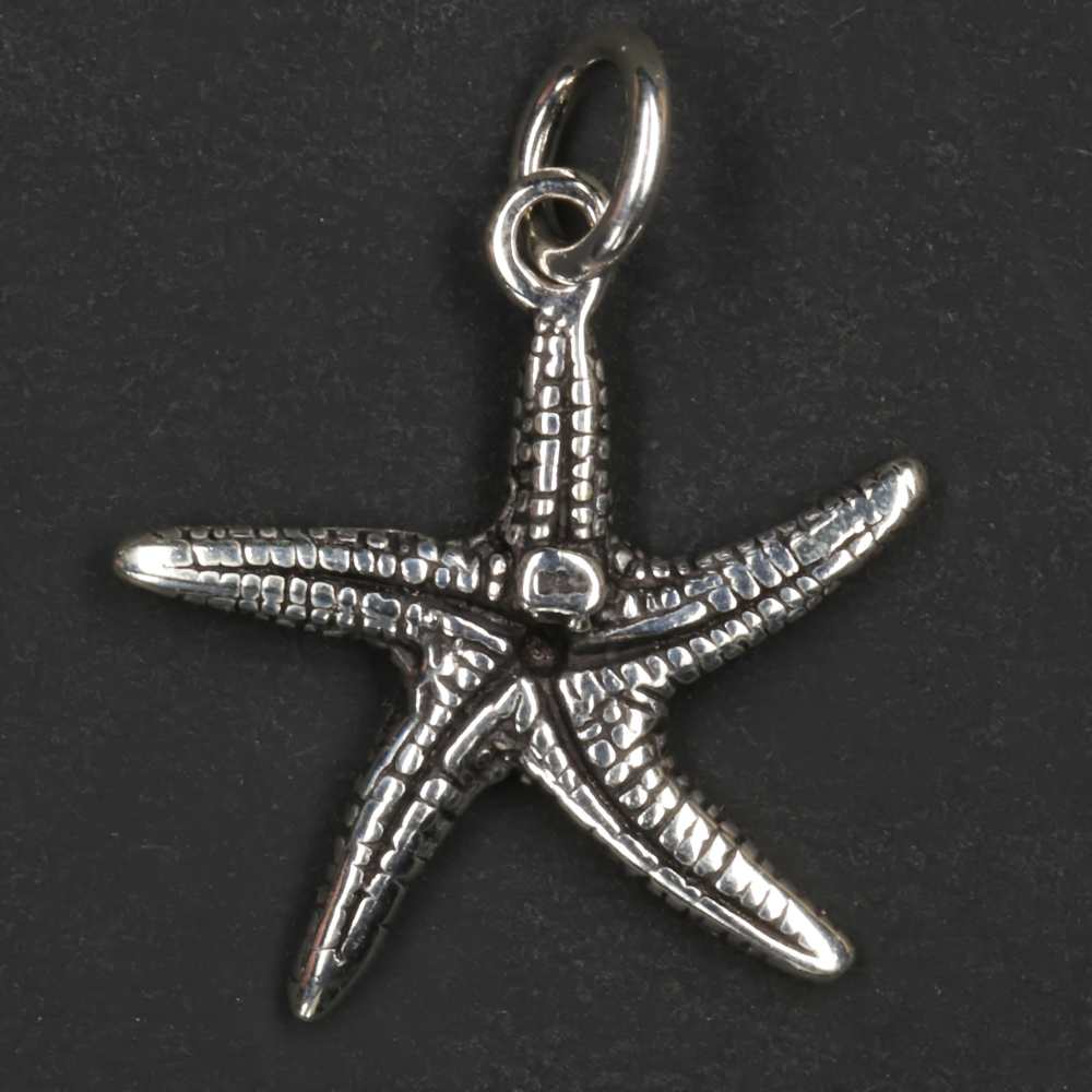 Seestern Silber Schmuck Anhänger Sterlingsilber zarter Kettenanhänger