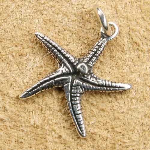 Seestern Schmuck Silber Anhänger