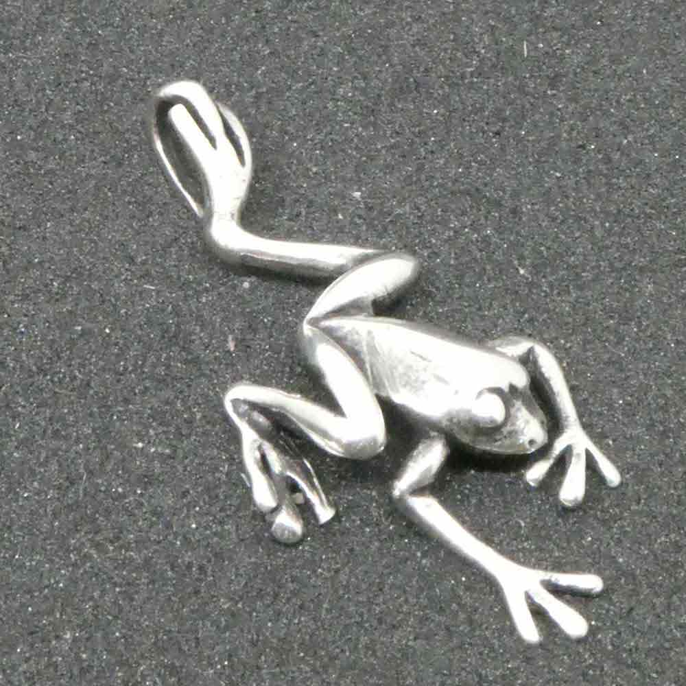 Frosch Schmuck Siber außergewönlich