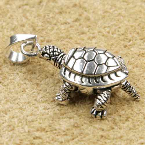 Schildkröte Schmuck Anhänger 925 Silber