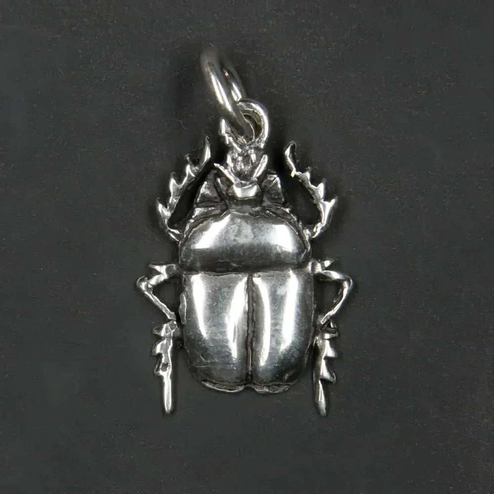 Glückskäfer Schmuck Anhänger 925er Silber