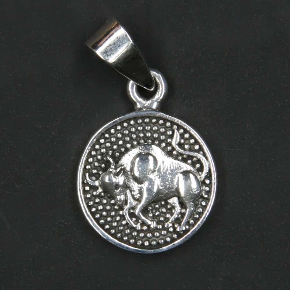 Stier Sternzeichen Silber Schmuck Anhänger Tierkreis astrologie