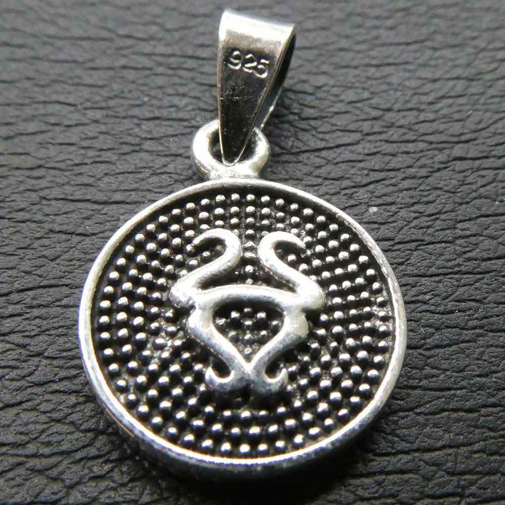 Stier Symbol Sternzeichen schmuck Anhänger