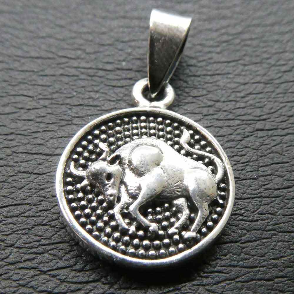 Stier Sternzeichen Silber Schmuck Anhänger Tierkreis astrologie