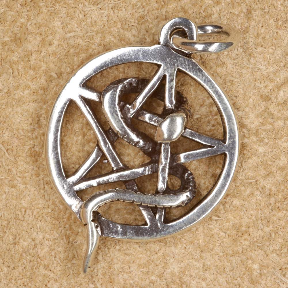 edle Schlange in Pentagramm Silber Anhänger 925 Silber