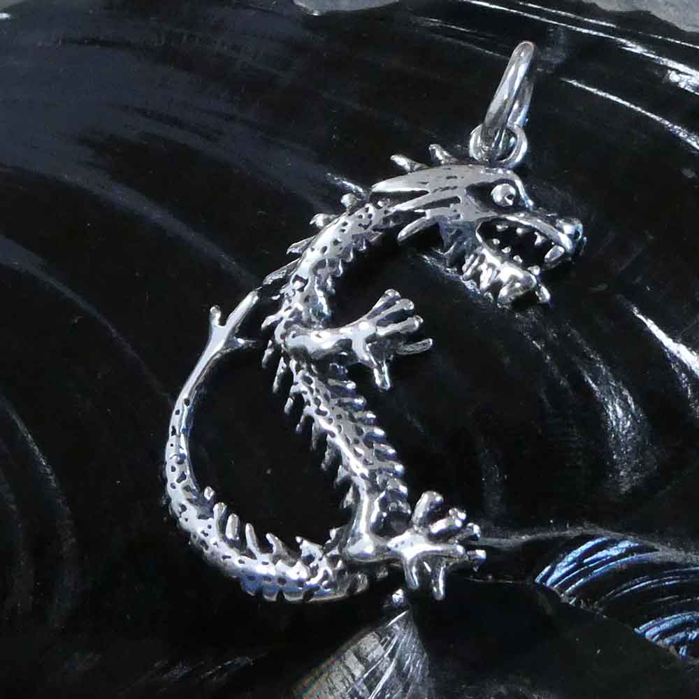 Drache Knchendrache Larp Halskette