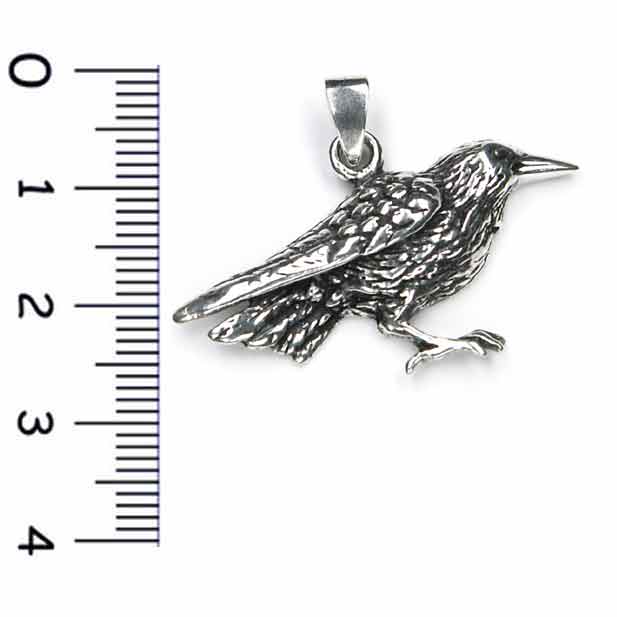 Raben Silber Ketten Anhänger