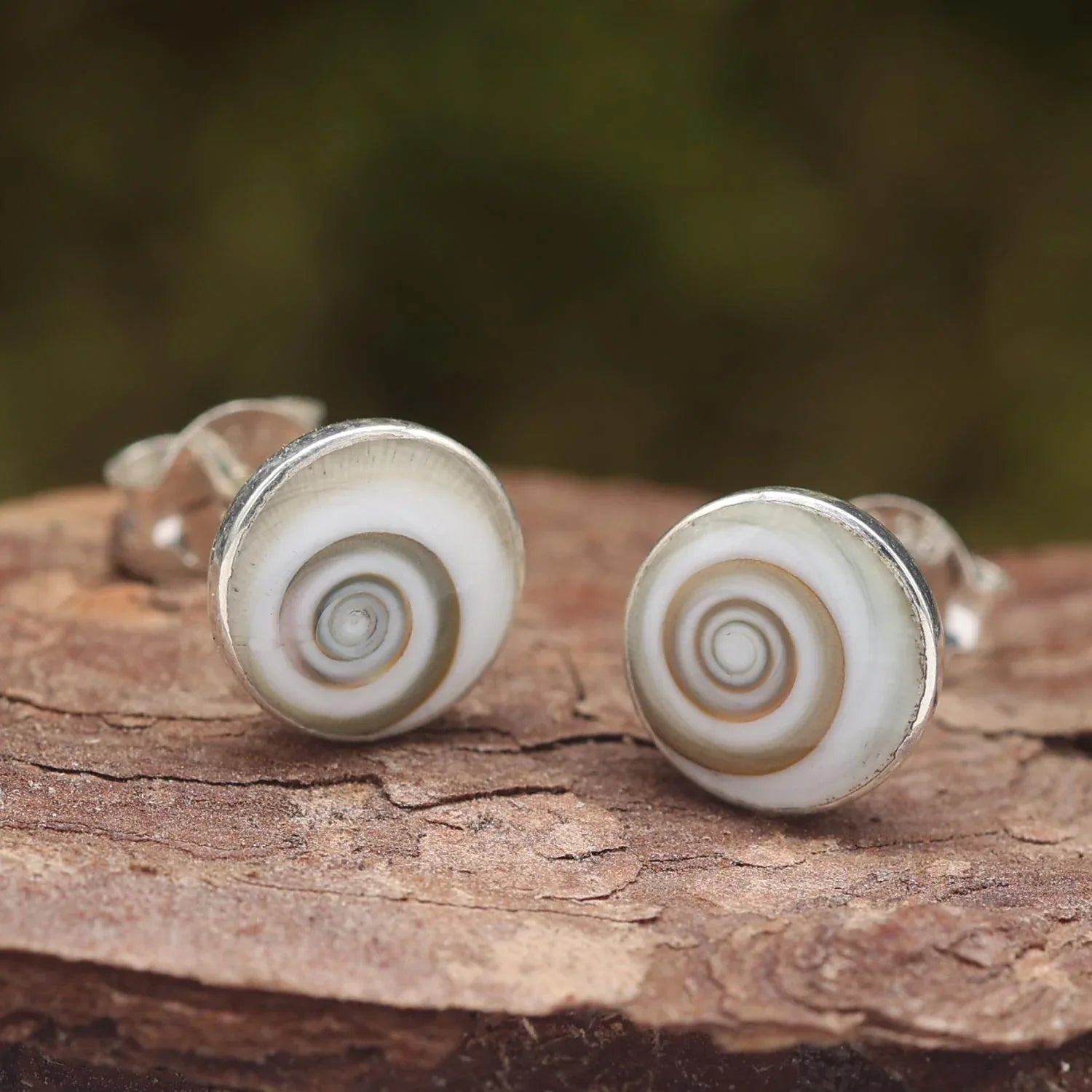 Shivamuschel Ohrring Silber Ohrstecker Meer