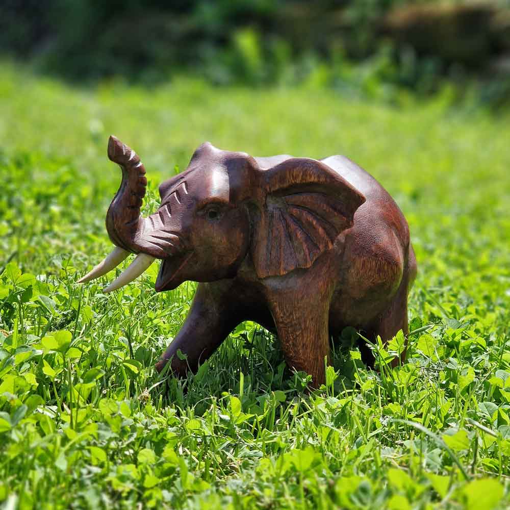 Elefant massiv links