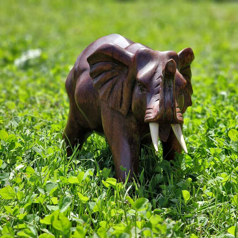 Elefant massiv rechts