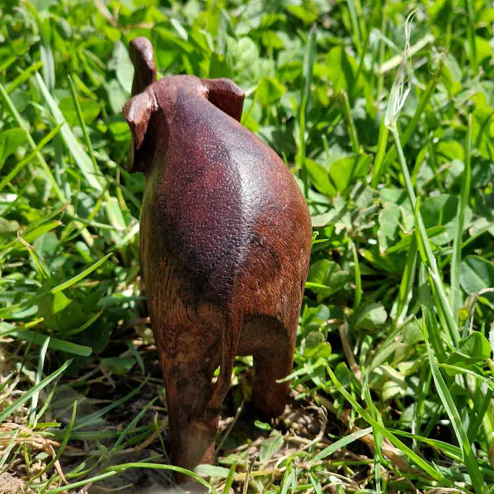 Kleiner Elefant hinten