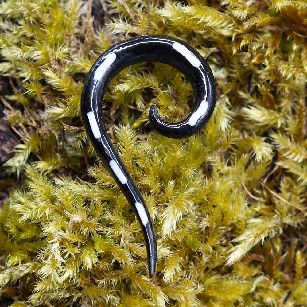 Horn Piercing Ohrschmuck haken