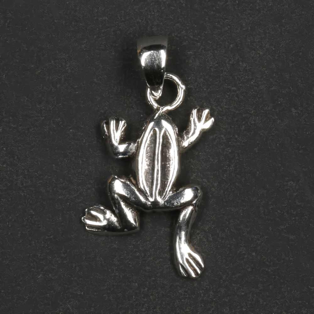 Frosch Anhänger 925er Silber Kettenanhänger  
