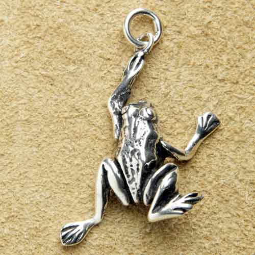 Frosch Schmuck Kettenanhänger 925 Silber 