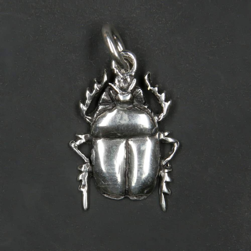 Glückskäfer Schmuck Anhänger 925er Silber