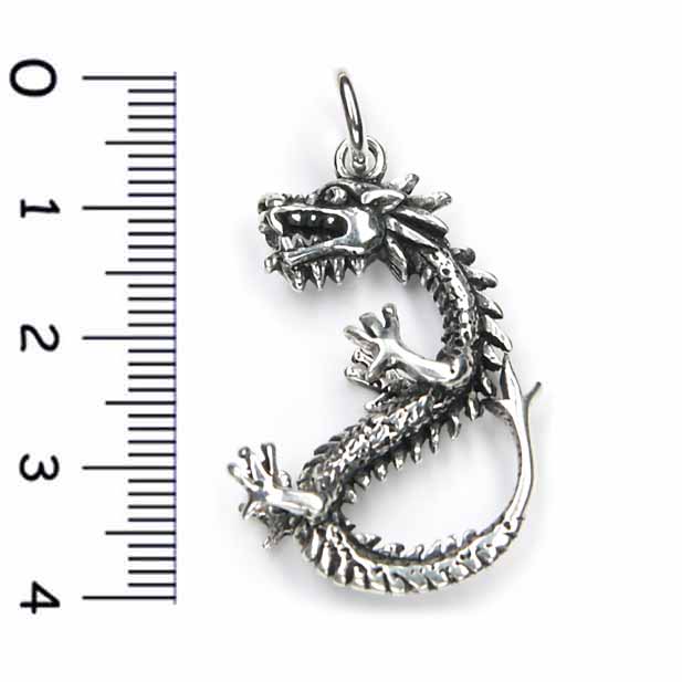 Larp Drache Schmuck Silber