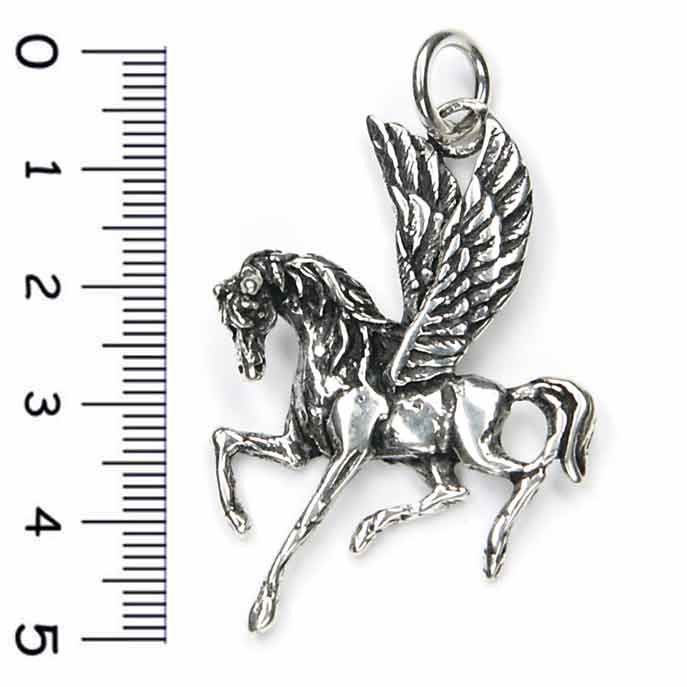 Pegasusu Schmuck Silber