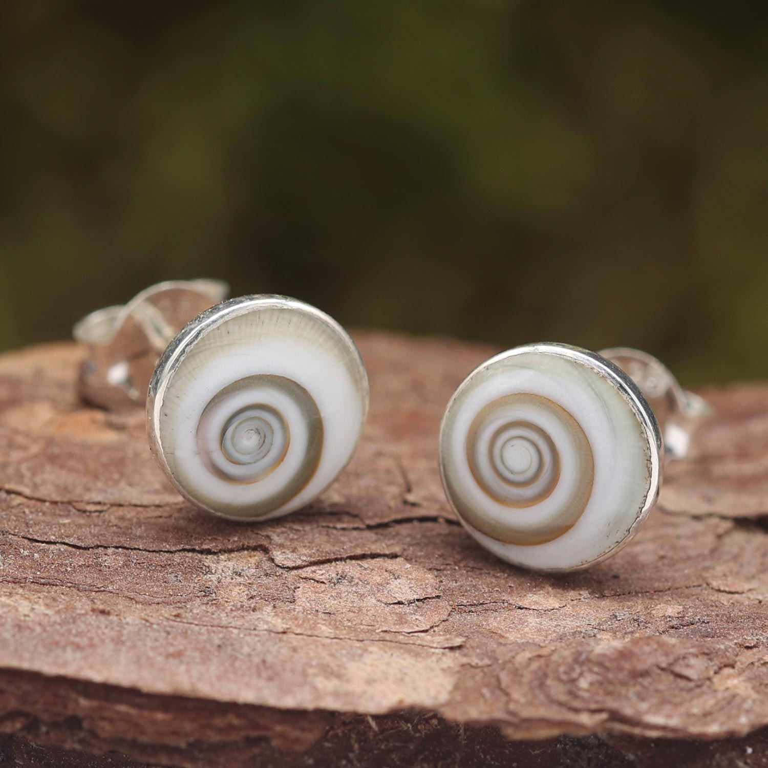 Shivamuschel Ohrring Silber Ohrstecker Meer