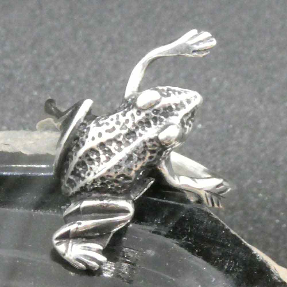 Frosch Schmuck Ring