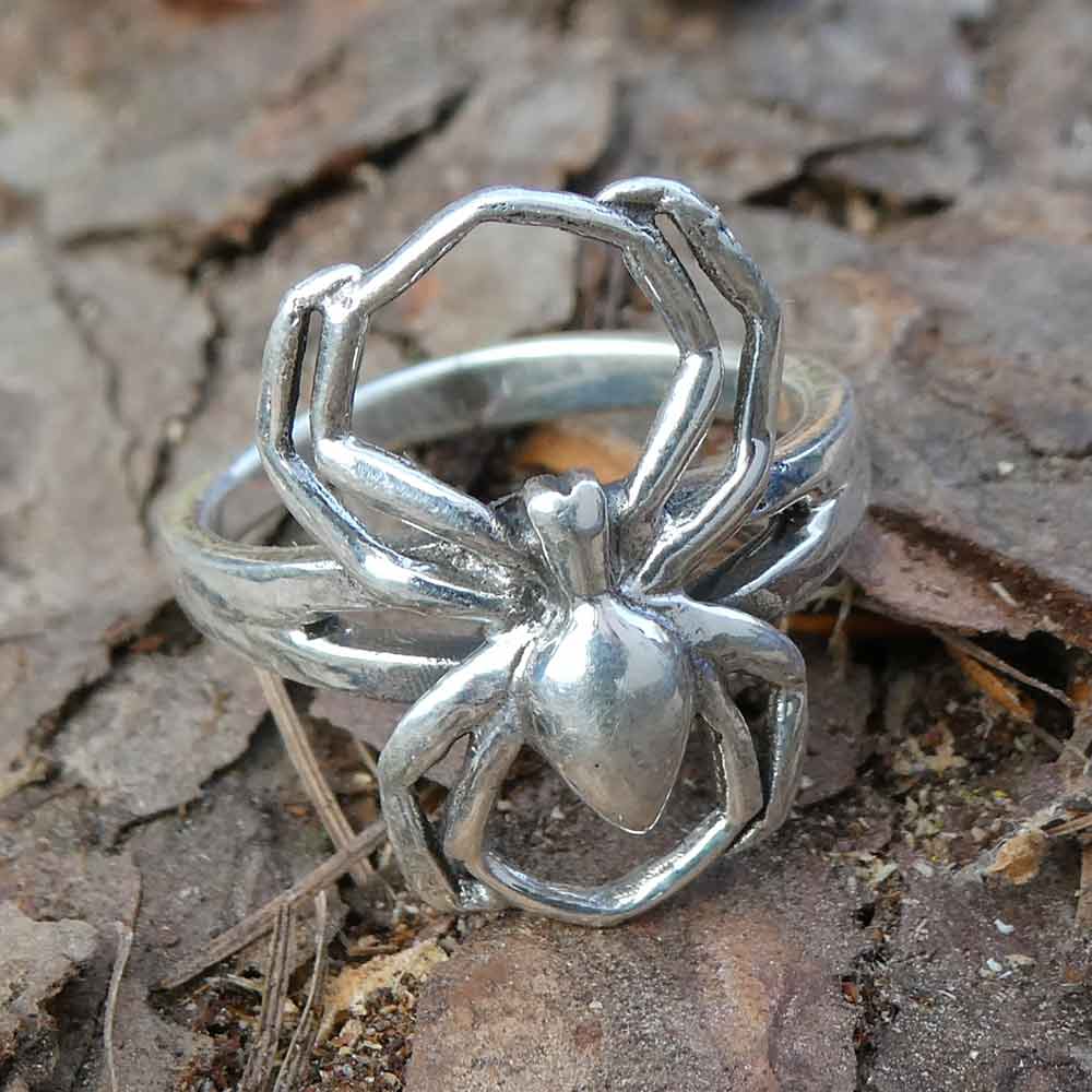 silberner Spinnen Ring