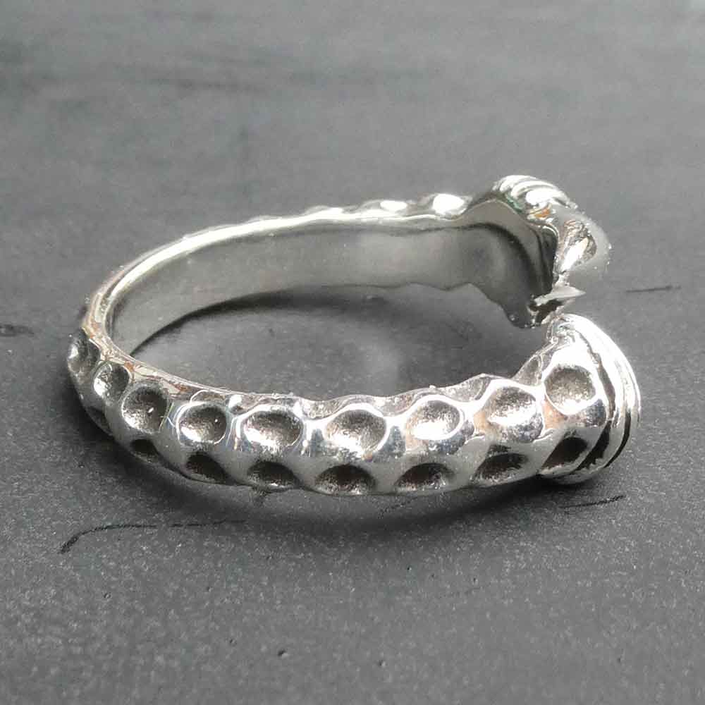Drachen Kralle Ringschiene Detailansicht