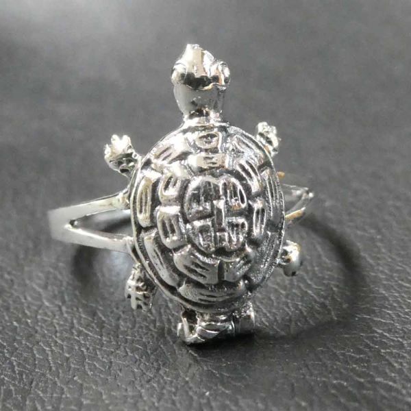 Schildkröten Ring Silber Giftring